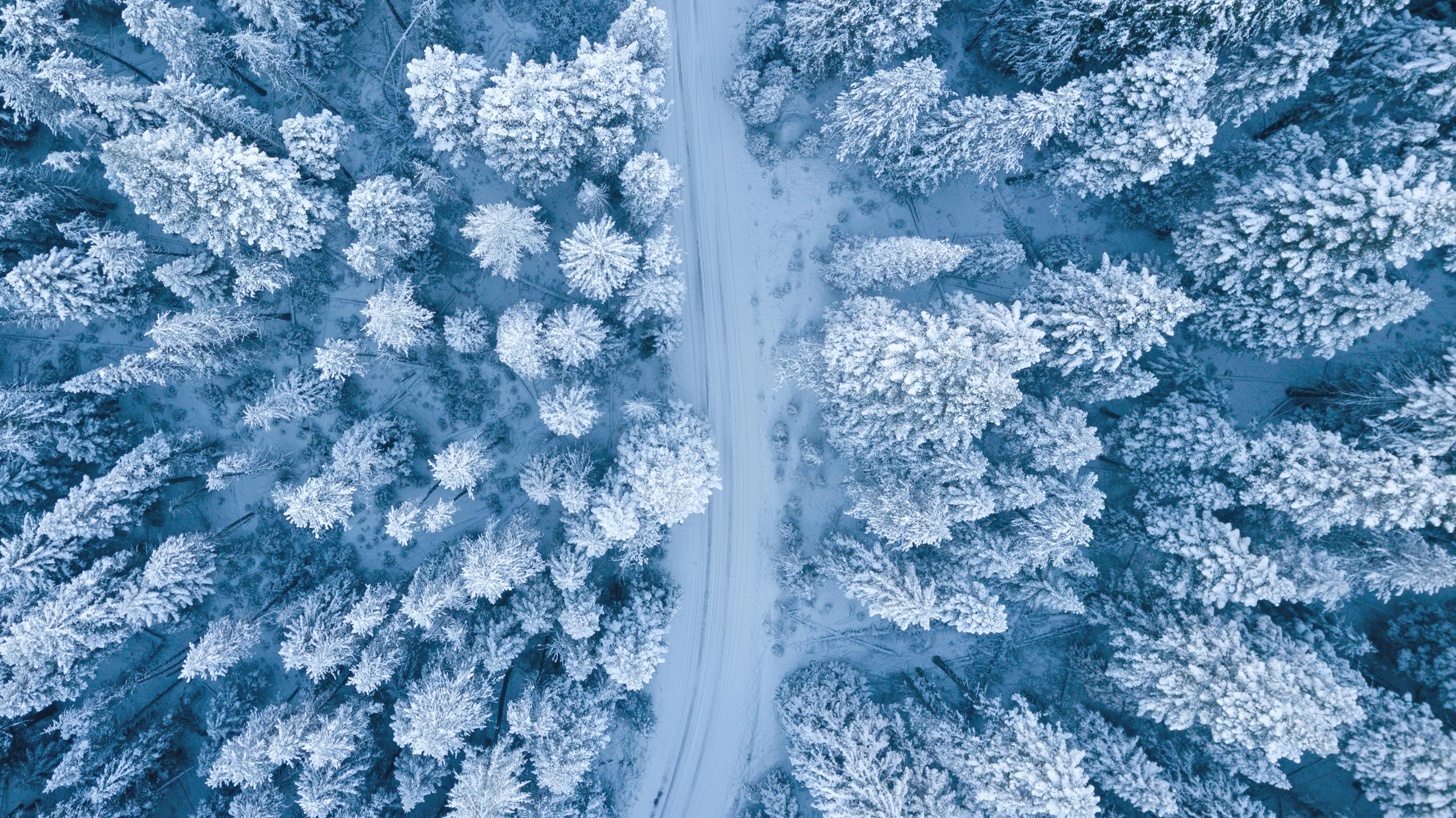 Global Motor Insurance Updates and Regulatory Developments