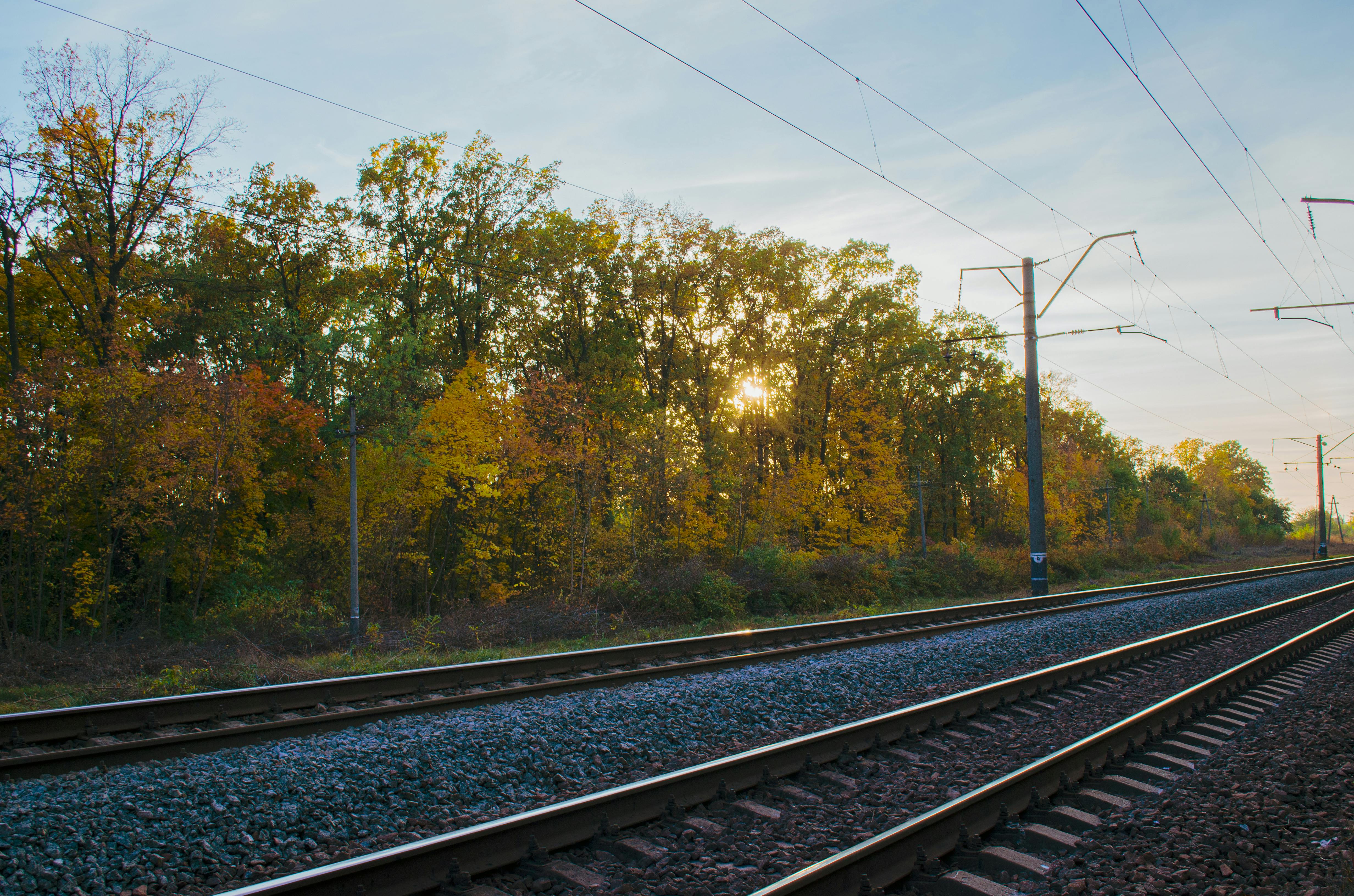 Expansion, Innovation, and M&A Activity in Travel Insurance