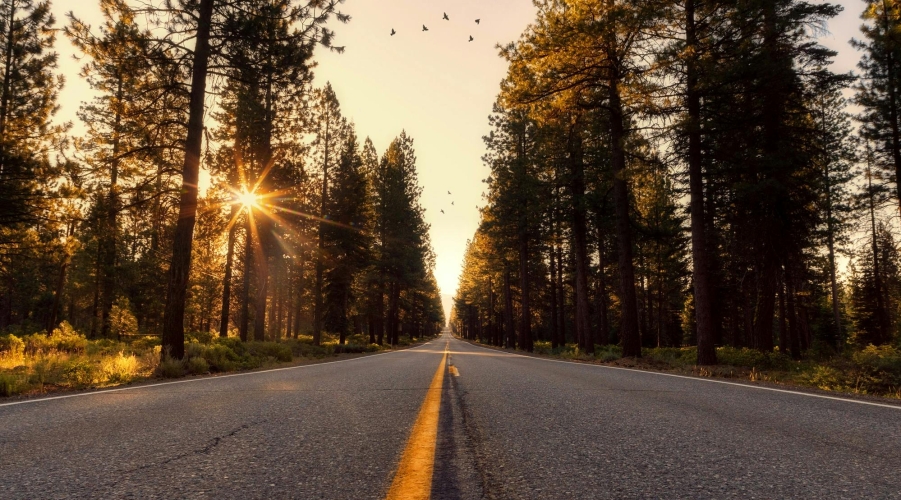 Automotive Insurance, EV Infrastructure, and Market Compliance News Automotive Insurance, EV Infrastructure, and Market Compliance News