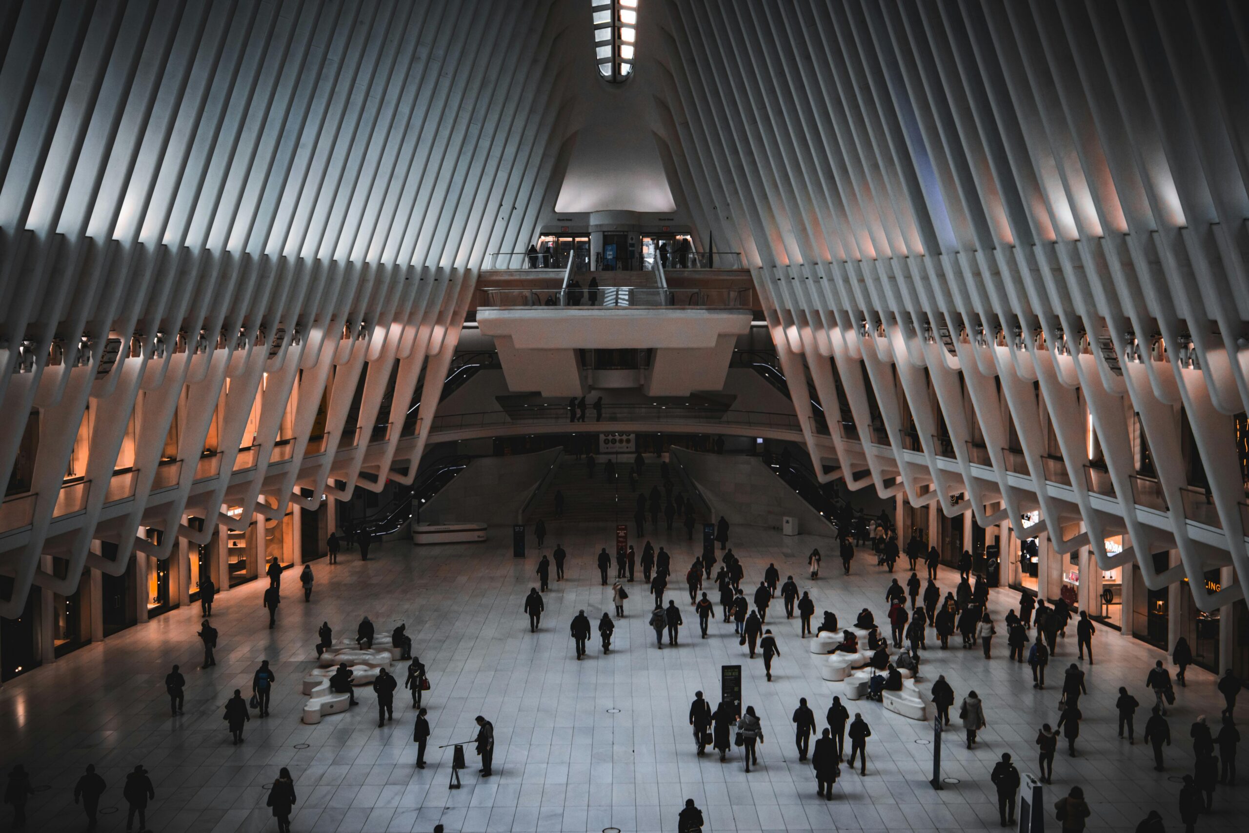 Travel Insurance Updates and Emerging Risks