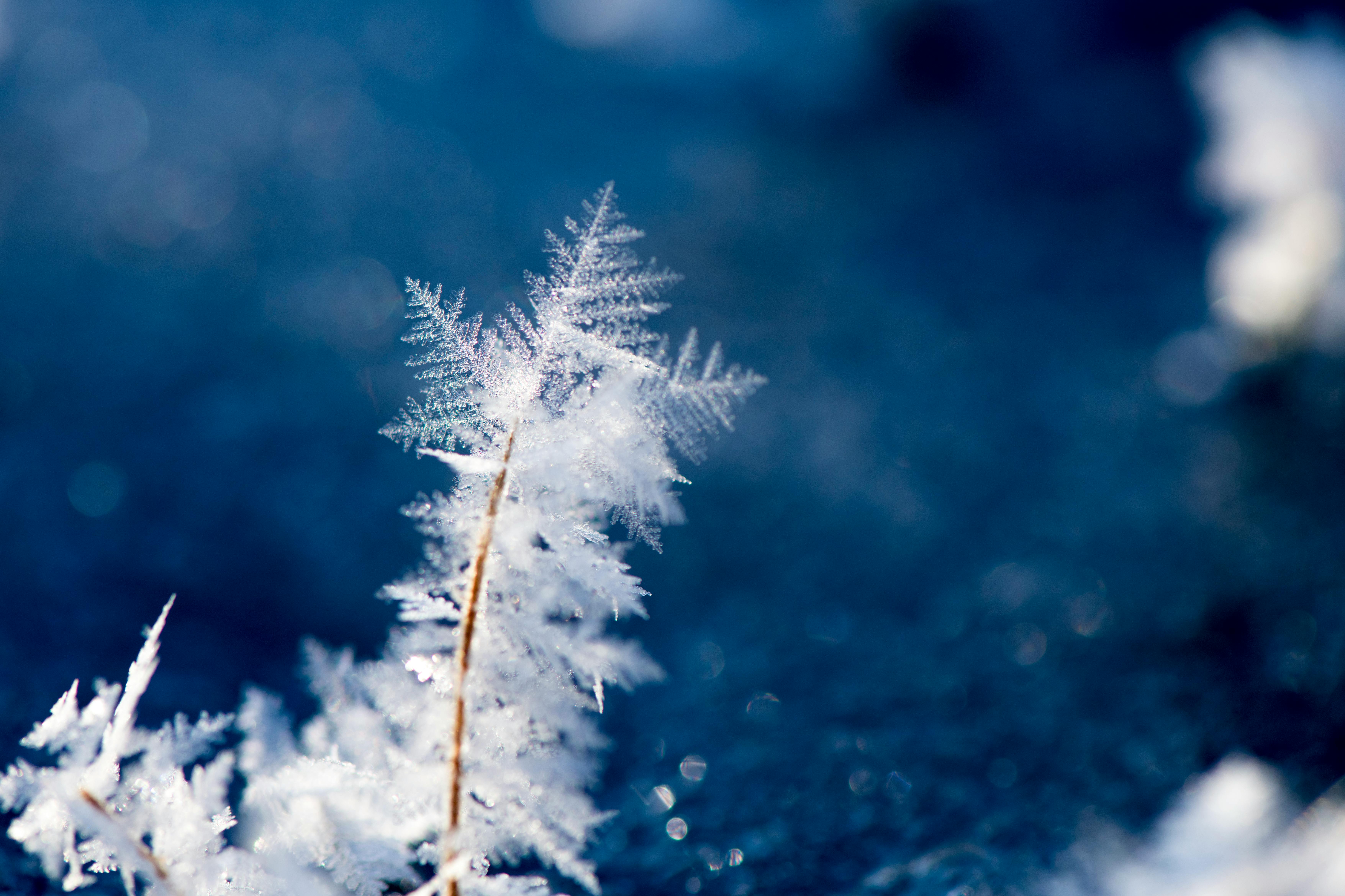 Life Insurance Industry: Investments, Data Challenges, and Policy Updates